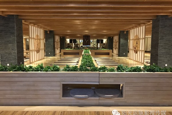 成都公园悠闲养生茶趣之旅(成都公园悠闲养生茶趣之旅地址)